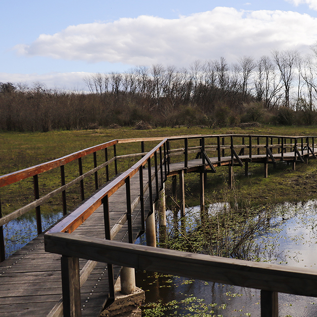 Imagen de nota: Reservas naturales para explorar