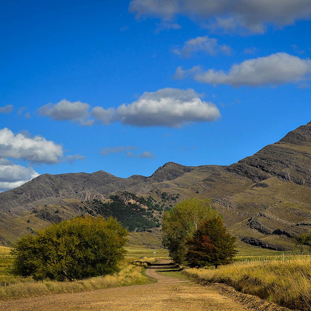 Imagen de nota: Camino a la aventura