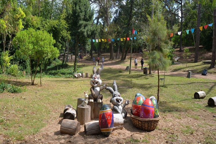 6º Pascuas en el Bosque