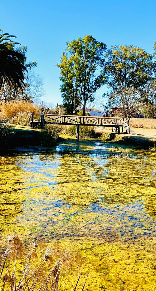 HISTORIAS Y ATARDECERES EN EL CAMPO