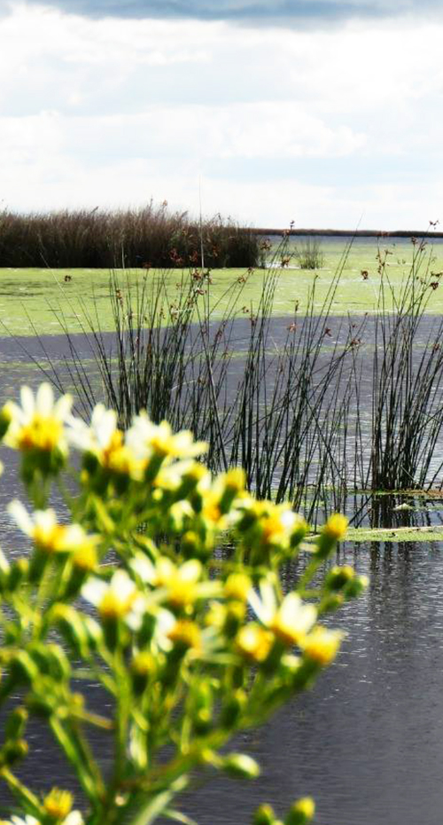 PAGOS RURALES A PURA TRADICIÓN