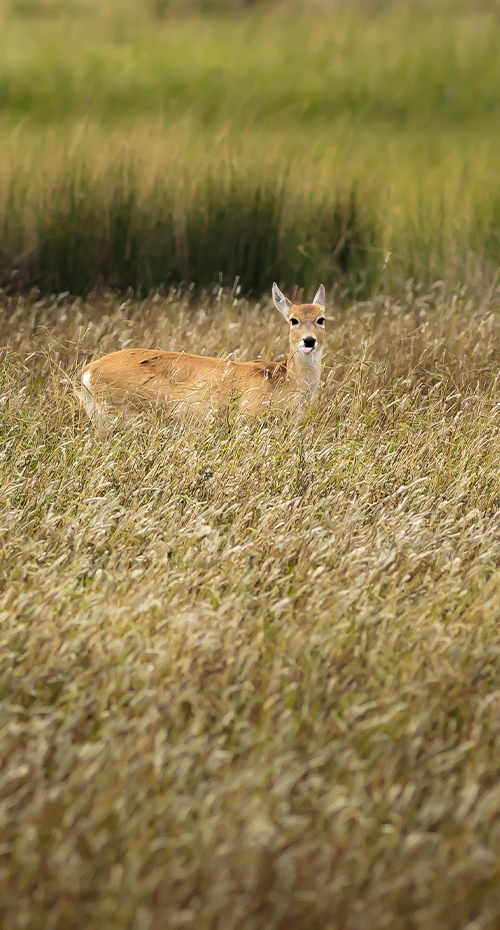 UN VIAJE POR CAMINOS RURALES Y COSTEROS