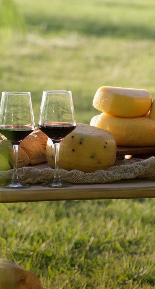 RUTA DEL QUESO EN SUIPACHA