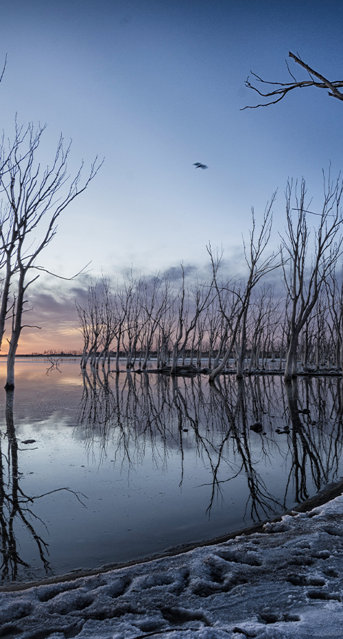 SAFARIS FOTOGRÁFICOS EN PAISAJES SERRANOS
