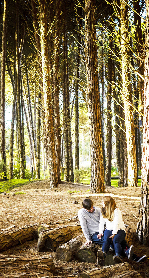 MAR, VIÑEDOS Y TRADICIONES GAUCHAS
