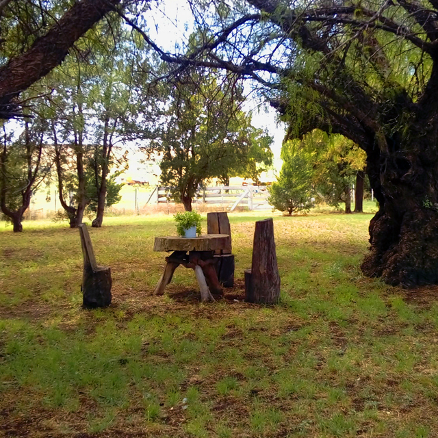 Pueblitos y casas de campo en Coronel Pringles