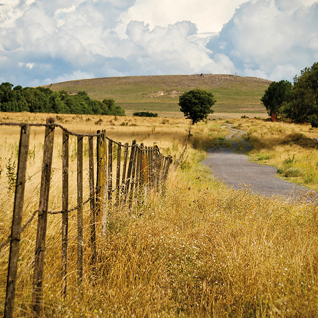 Una vuelta por el centro