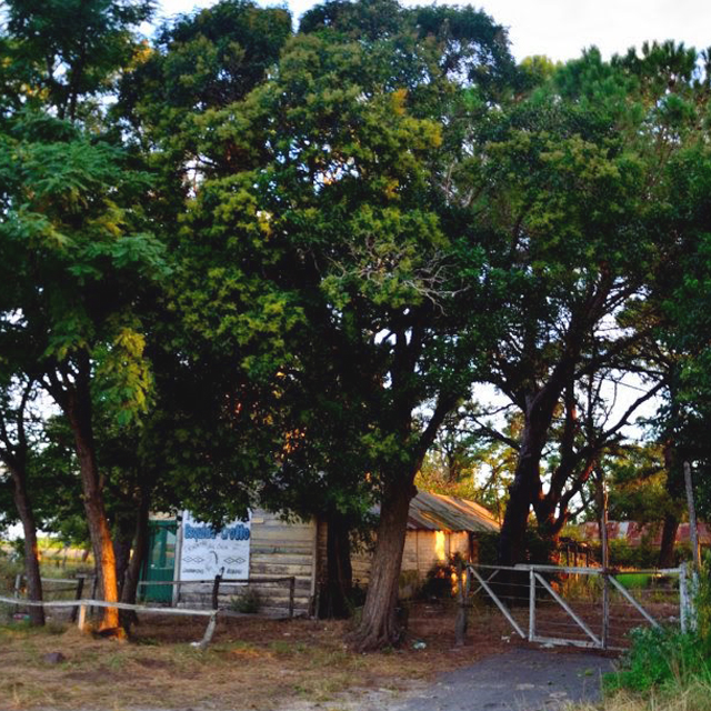 De paseo por Tordillo