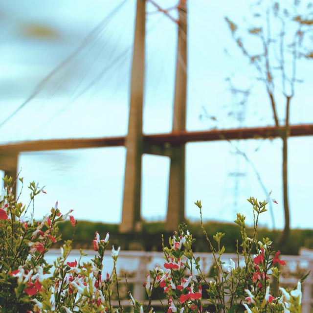 PASEOS RIBEREÑOS PARA DISFRUTAR