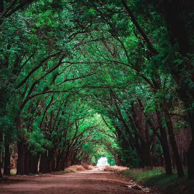 LUGARES IDEALES PARA SACAR FOTOS