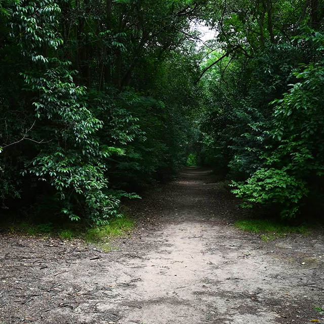 UN OASIS DE NATURALEZA EN LUJÁN