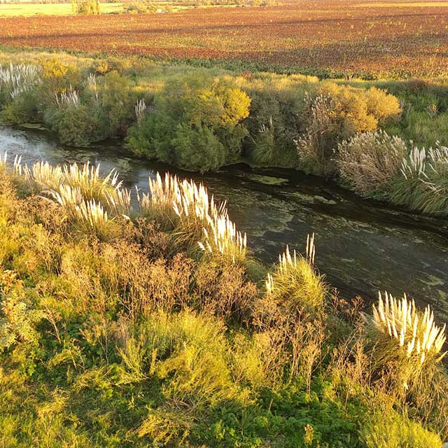 CHACABUCO AL NATURAL