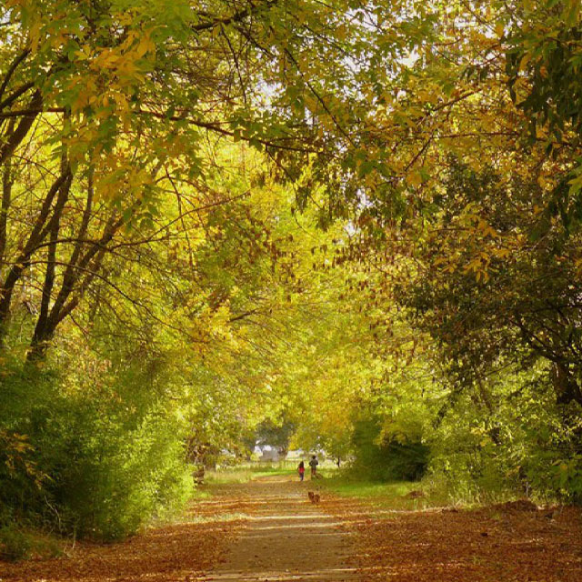 TURISMO RURAL EN BOLÍVAR