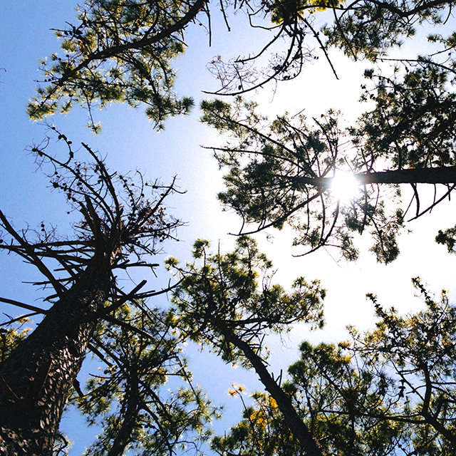 Lugares energéticos