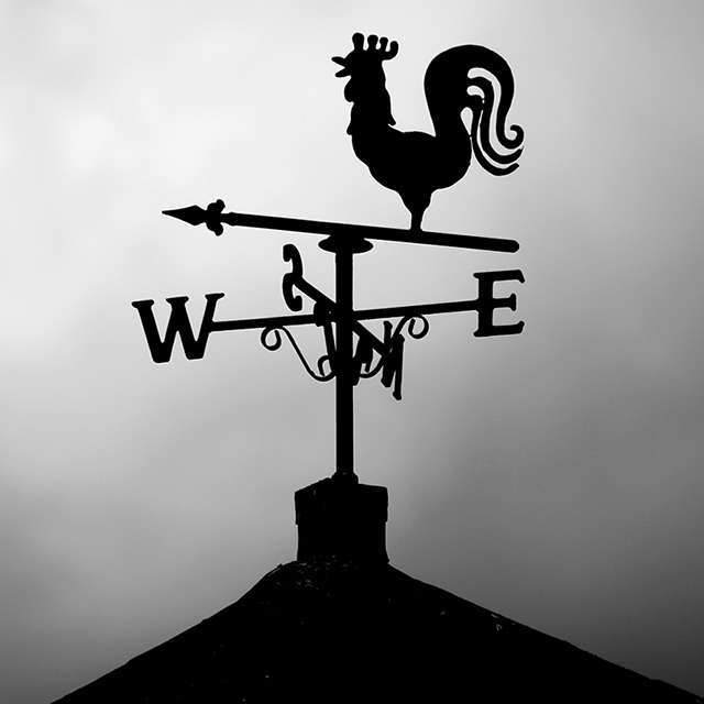 Bajo la rosa de los vientos