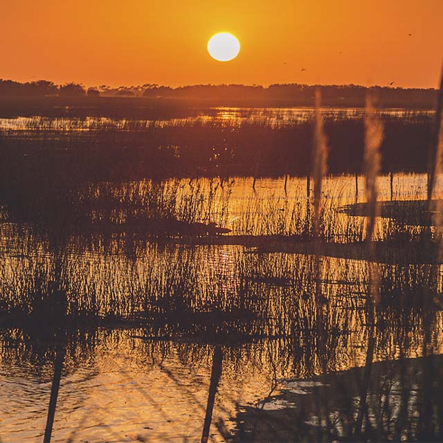MAR, VIÑEDOS Y TRADICIONES GAUCHAS