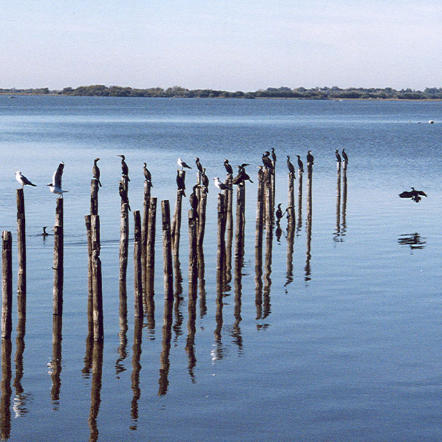 SABORES CRIOLLOS, ESTANCIAS Y TERMAS