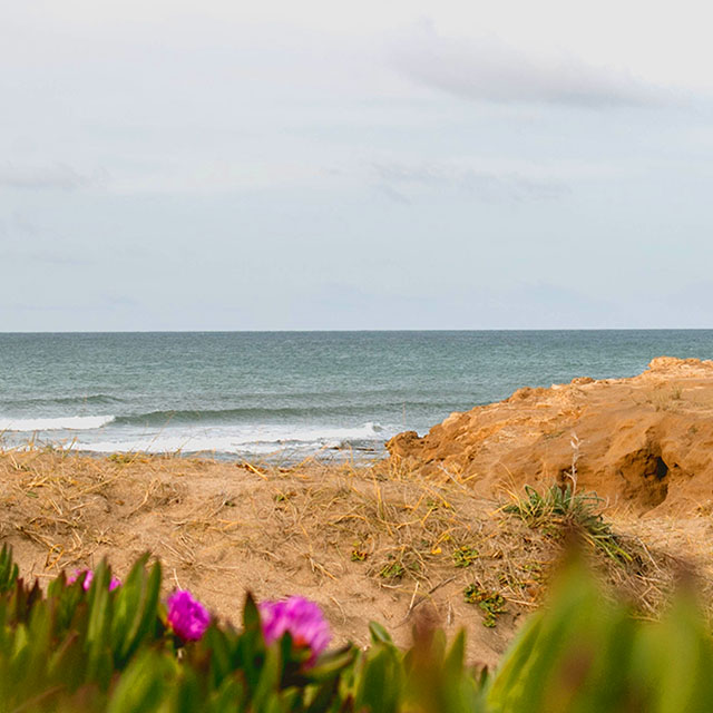 PUEBLITOS DE SOL Y PLAYA