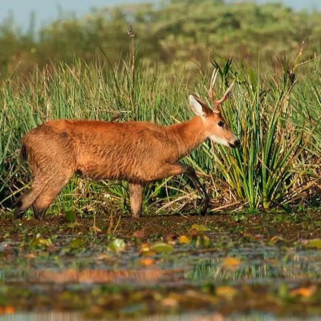 ENCANTO COSTERO Y ELEGANCIA