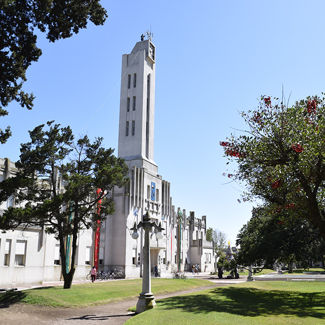 LAS OBRAS MONUMENTALES DE SALAMONE