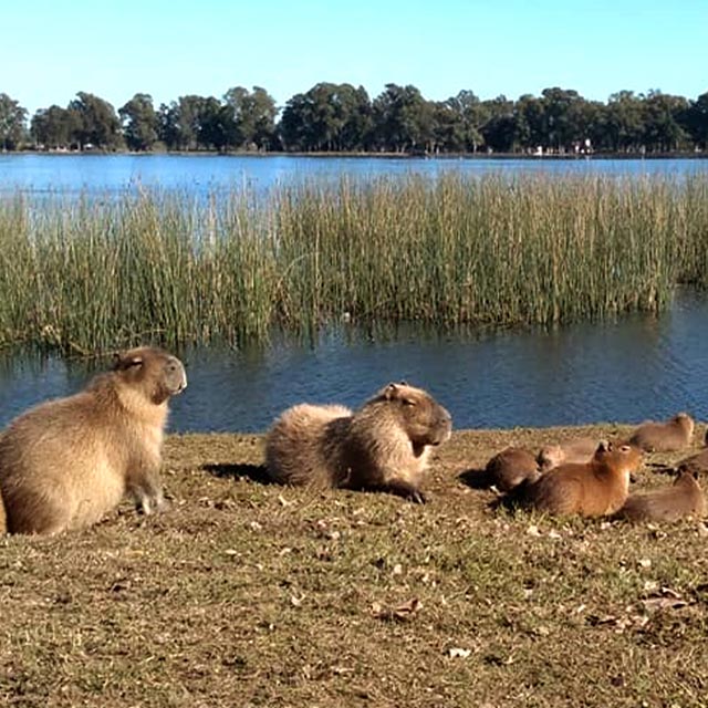LAGUNAS Y TERMAS CERCA DE CABA