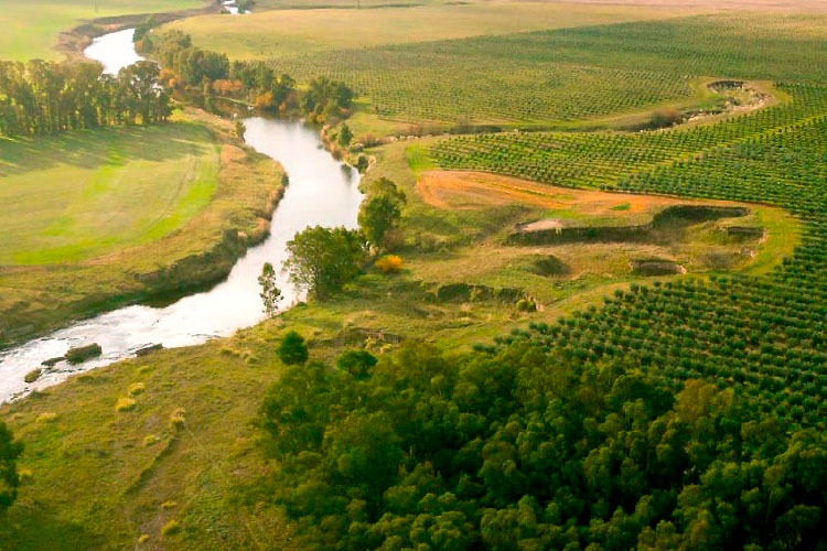 Finca Rumaroli
