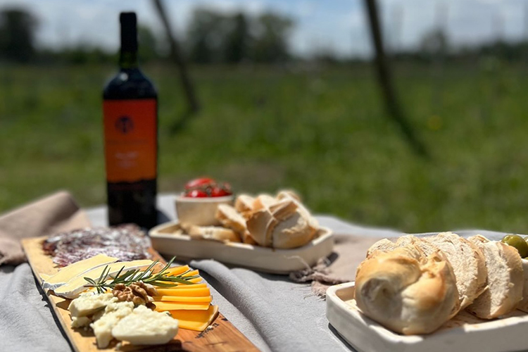 Bodega y Viñedo Media Hectárea